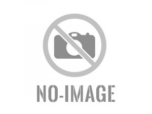 Contenido online disco